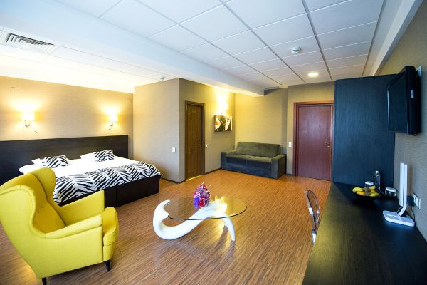 Business Hotel Conference Center & Spa (Tirgu-Mures)